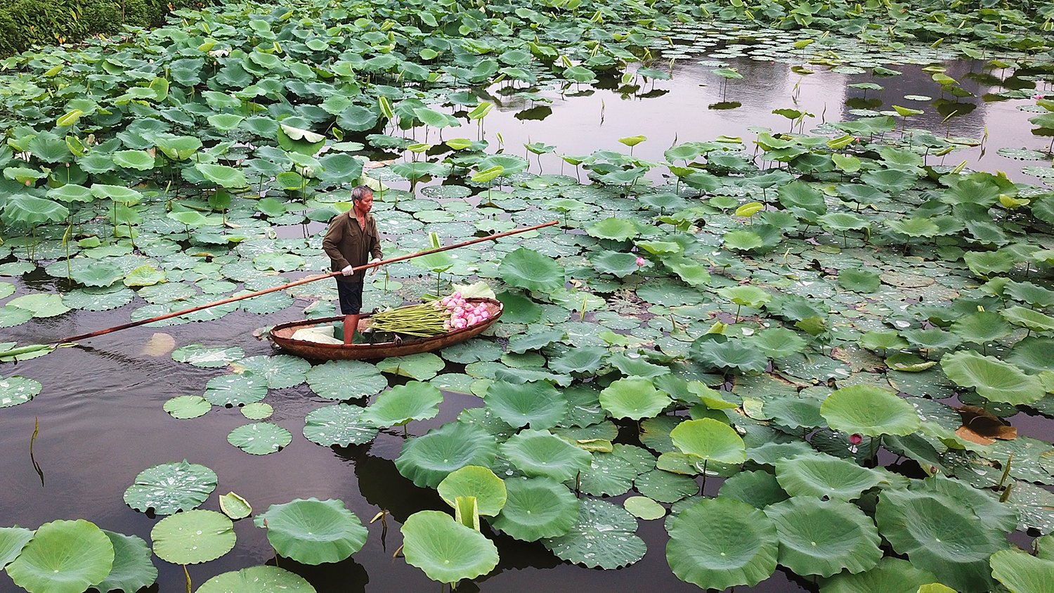 Cycle Around West Lake Hanoi Half Day